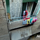 Illustration for article titled Spider-Man, Hanging Out in Cairo